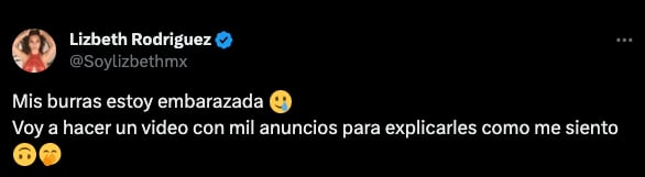 ¿Lizbeth Rodríguez está en espera de su segundo bebé? Esto es lo que se sabe