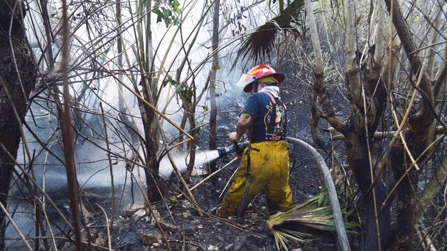 Incendios forestales en México. Pérdidas.