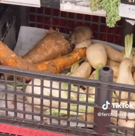 Ratoncito en supermercado