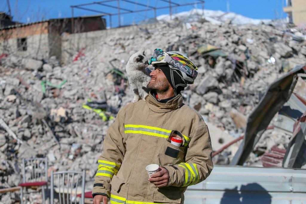 Enkaz, gato rescatado en Turquía, junto a el bombero Ali Cakas