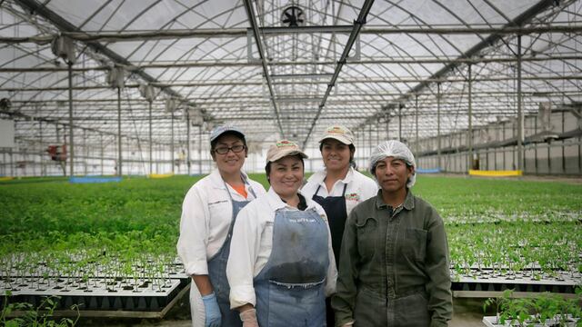 El estado de Jalisco es líder en generación de empleos.