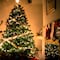 ¿Cuánto cuesta un árbol de Navidad natural? Precios del 2022 dependen de sus características