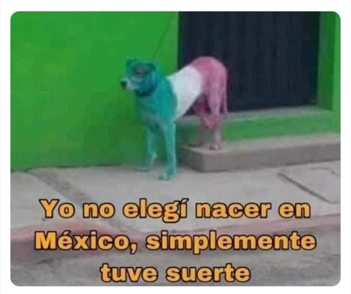 Meme del 'justificante'