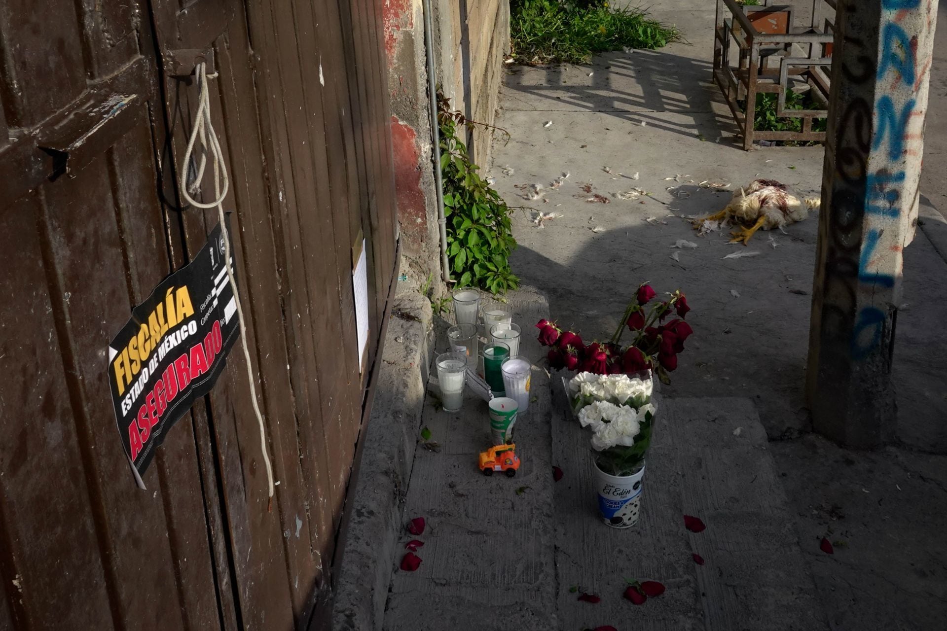 Autopsia de Fernandito, torturado y asesinado en Los Reyes La Paz, Edomex, reveló inimaginable violencia