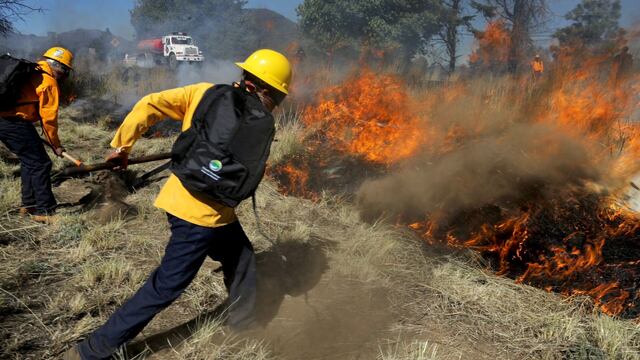 Michoacán previene y combate incendios forestales
