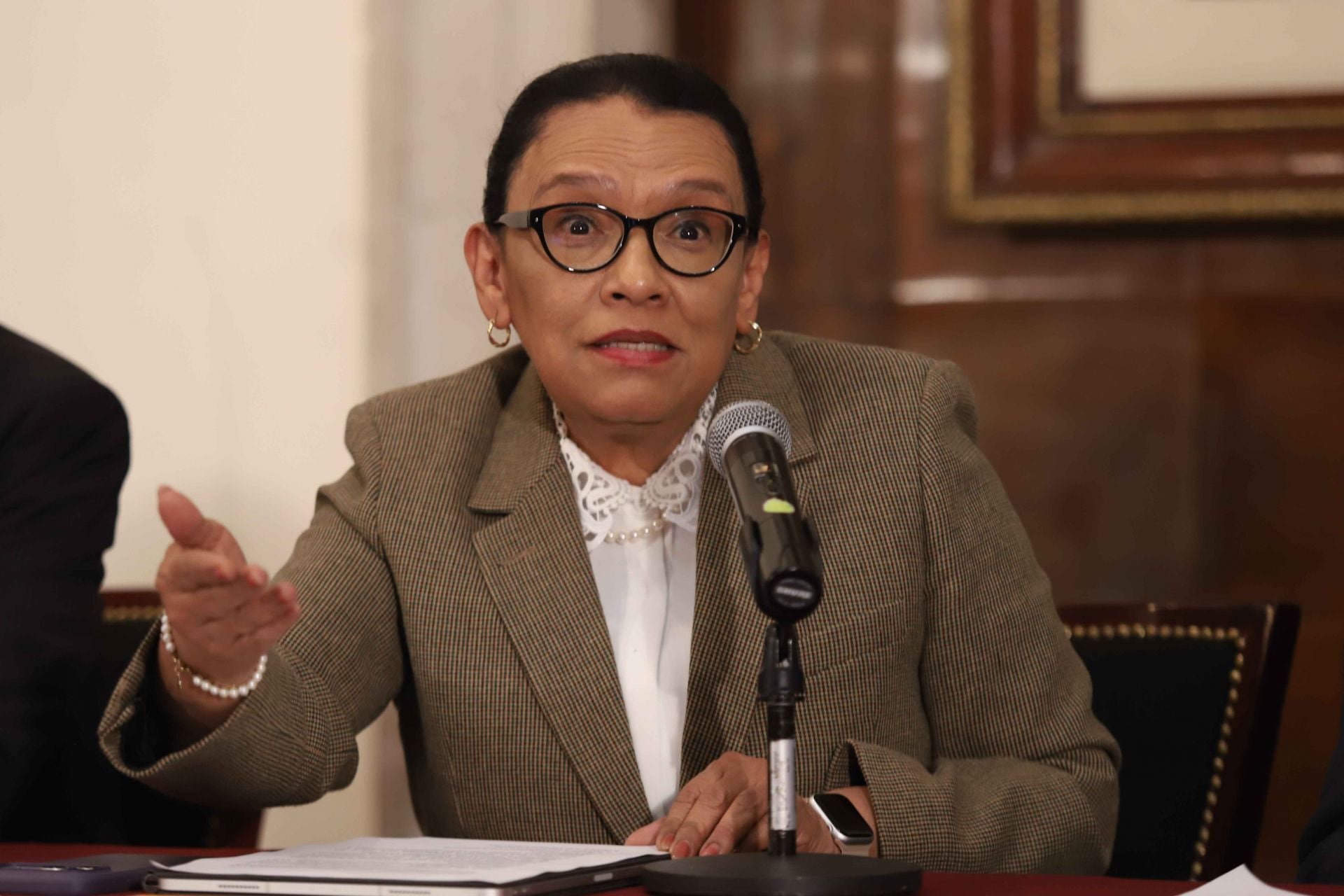 Rosa Icela Rodríguez