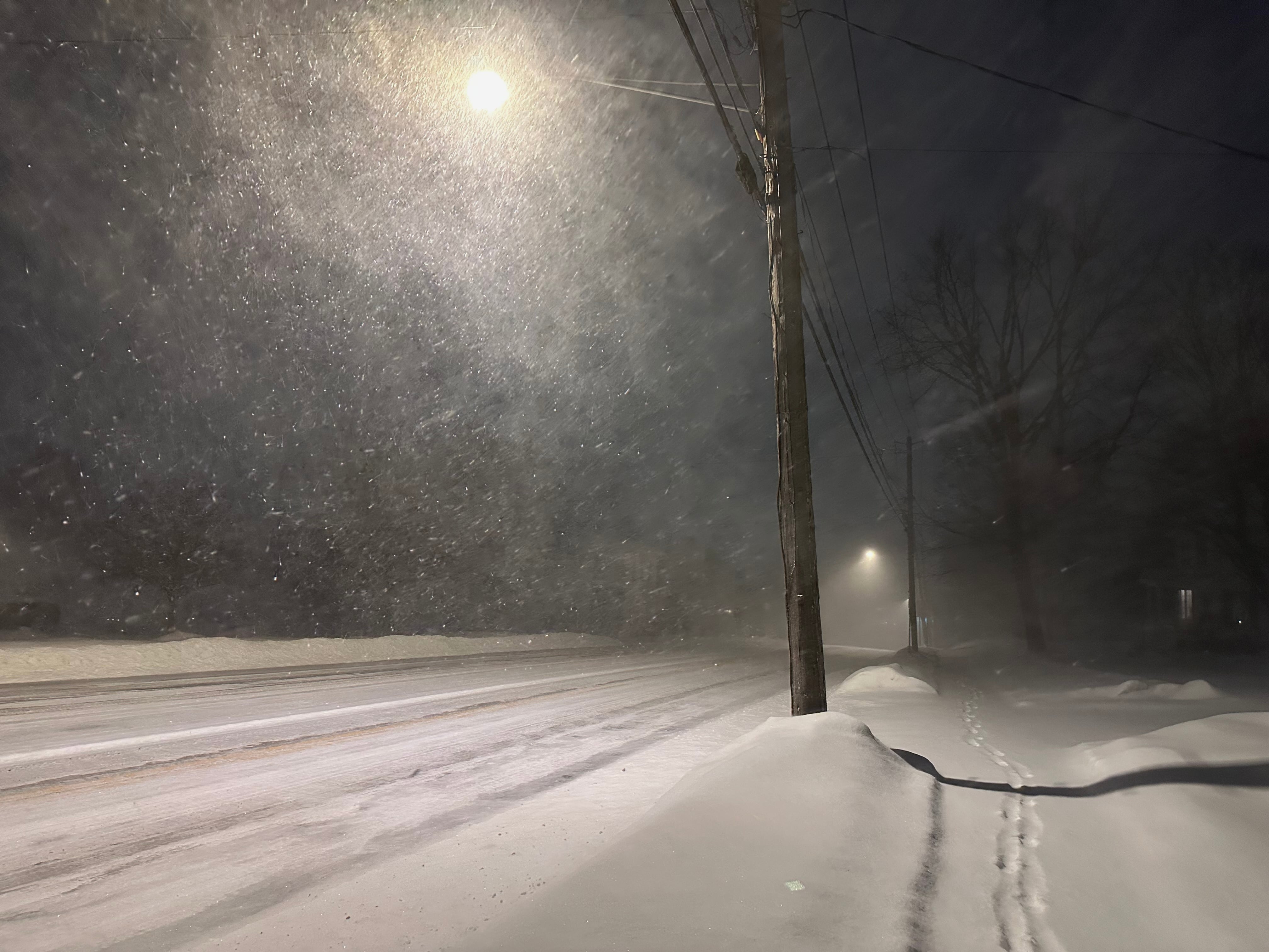 Nevada del Lunes 29 de diciembre en Nueva York.