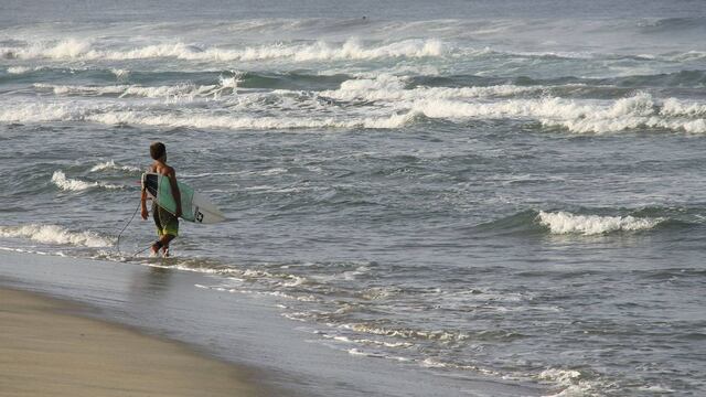 Playa de Oaxaca. Levantamiento de veda sanitaria.