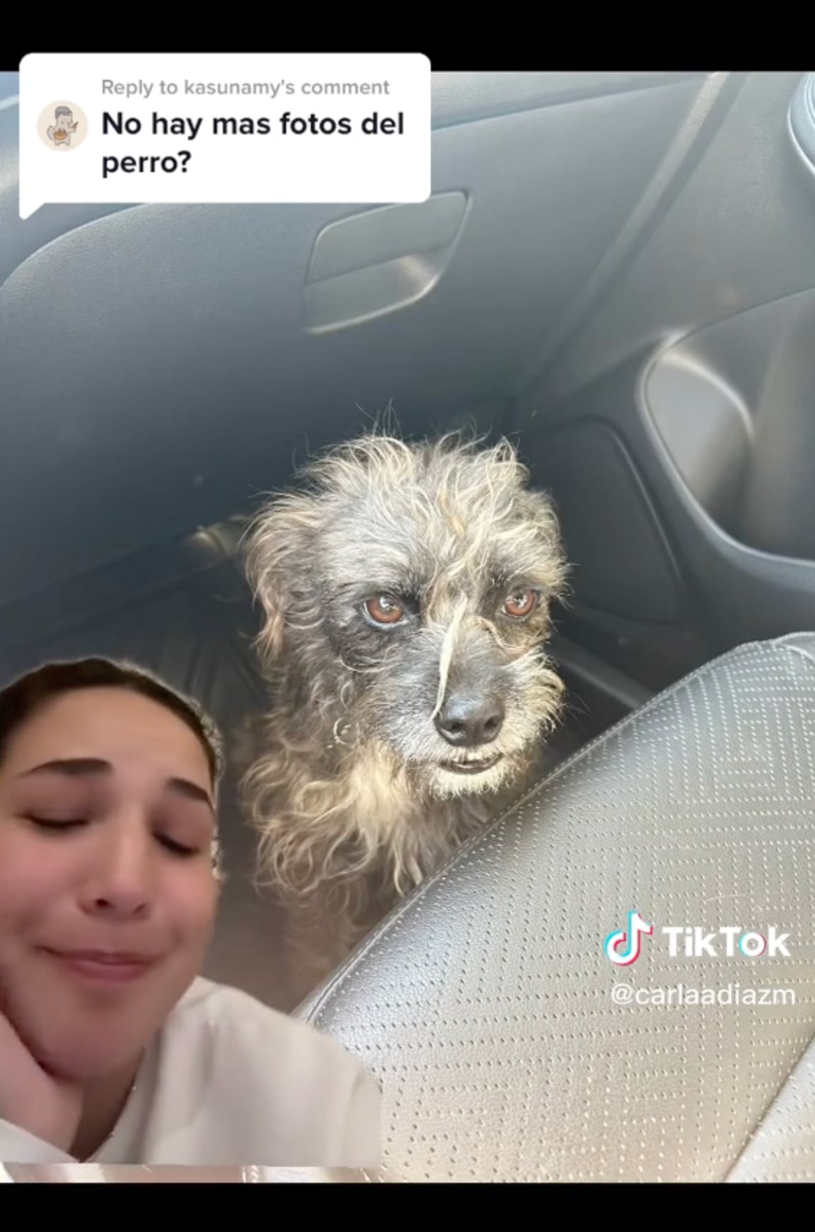 Recoge a un perro callejero feo y le inventa que es un nahual