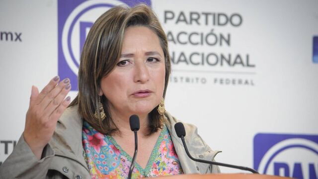 Xóchitl Gálvez, Senadora de la República Mexicana