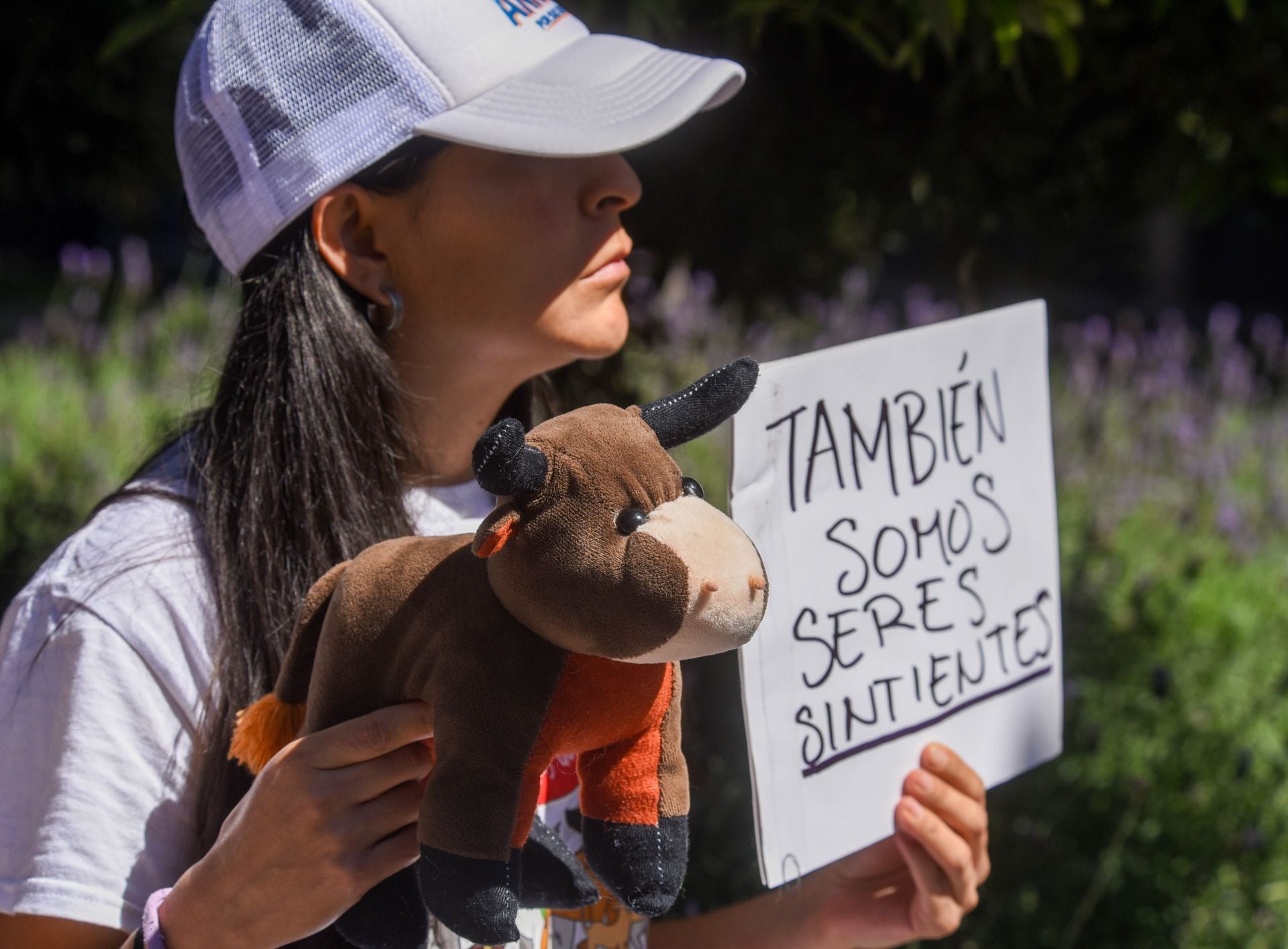 ¿Qué es la Ley Oli? Iniciativa contra el maltrato animal de Querétaro