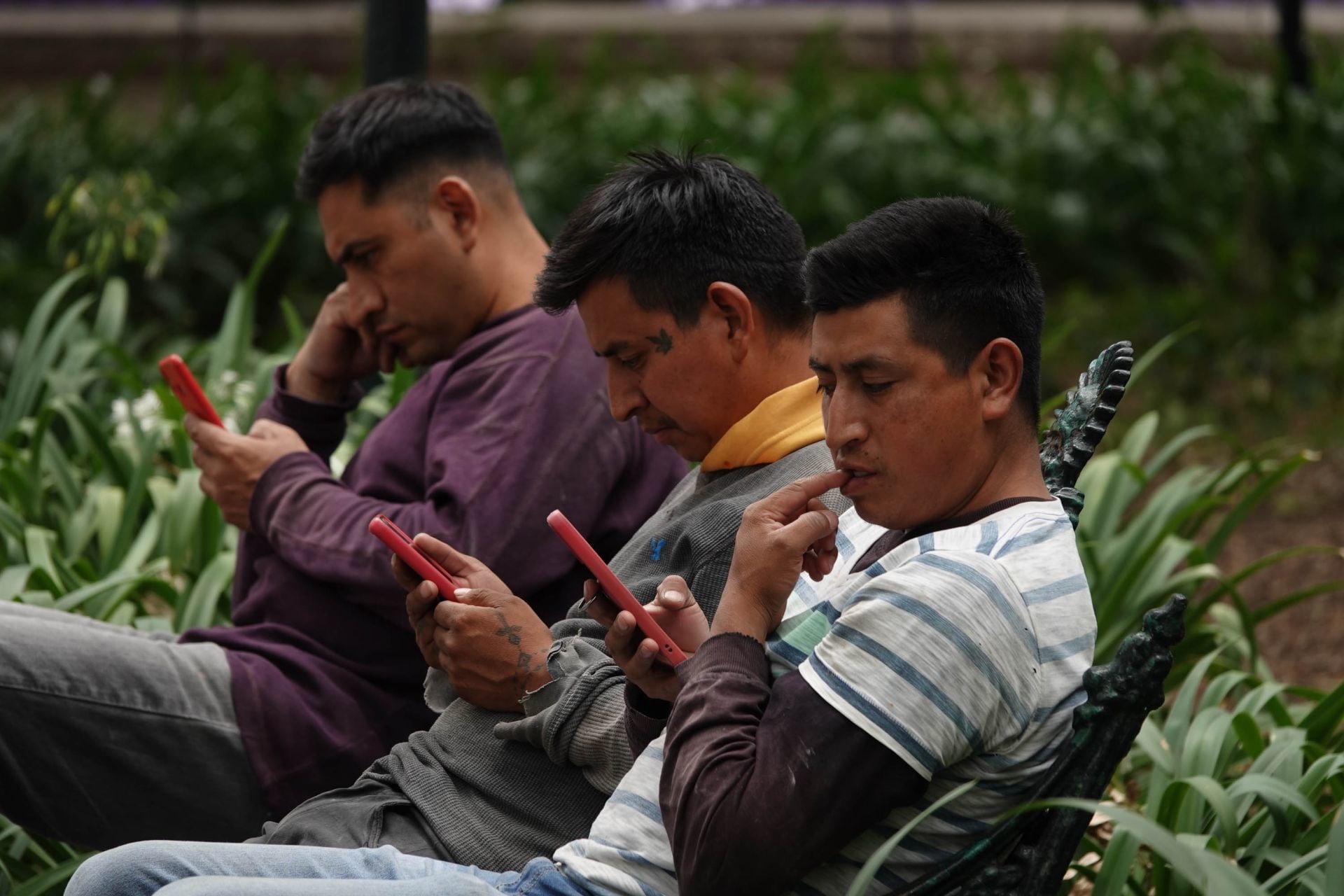 Personas usando celular