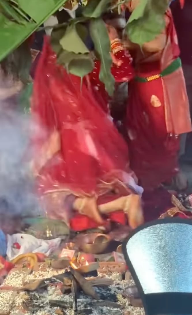Novios se pelean a golpes en plena boda