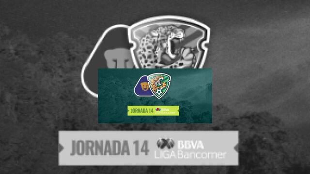 Pumas busca seguir con buena racha en CU y de paso asegurar liderato en el Ap15