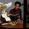 Set LEGO Iconos de Hogwarts: Precio del carísimo coleccionable de la lechuza Hedwig que pocos podrán comprar