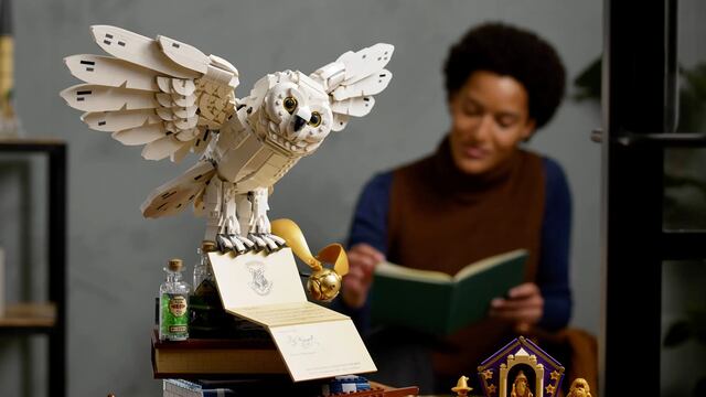 Set LEGO Iconos de Hogwarts