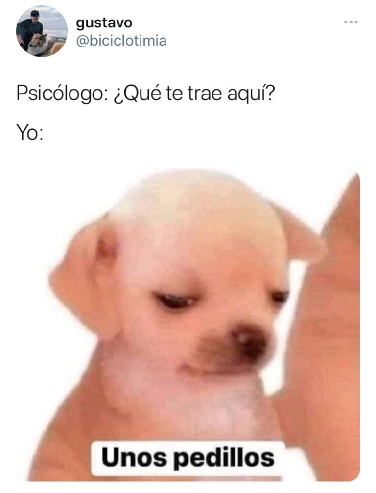 ’Kesi Kesi’ se llama el perrito del meme “unos pedillos”
