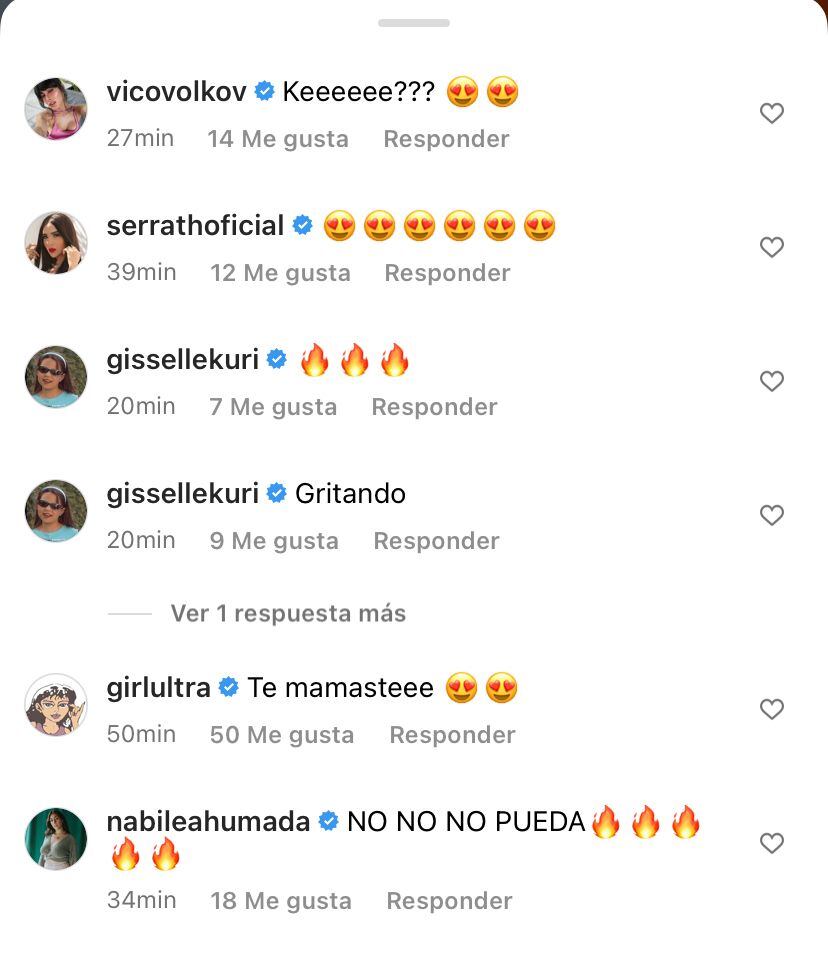 Comentarios