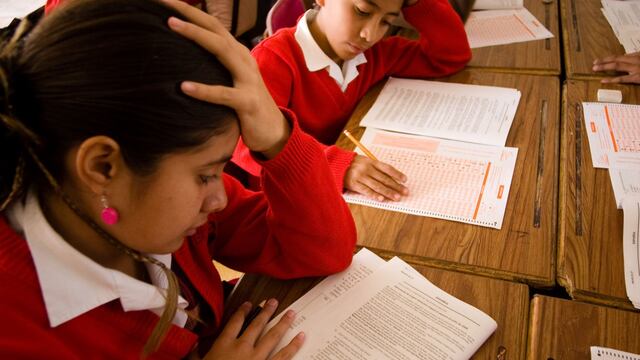 Educación pública. Análisis.