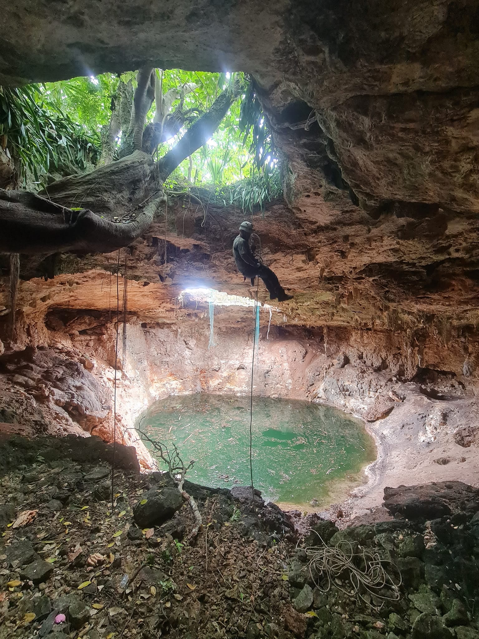 ¿Qué pasó en el cenote de Xocén? Colapsó parte de la bóveda y se tragó un árbol de 100 años