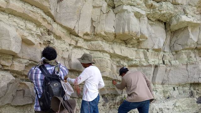 El Laboratorio de Paleobiología de la BUAP estudia el origen, evolución y extinción de la flora y fauna de México