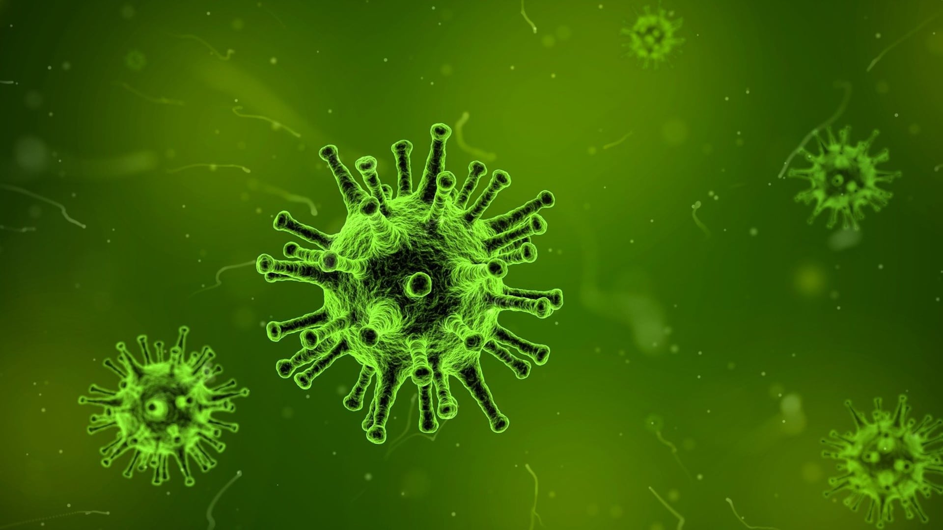 Norovirus: síntomas, contagio y qué tan peligroso es