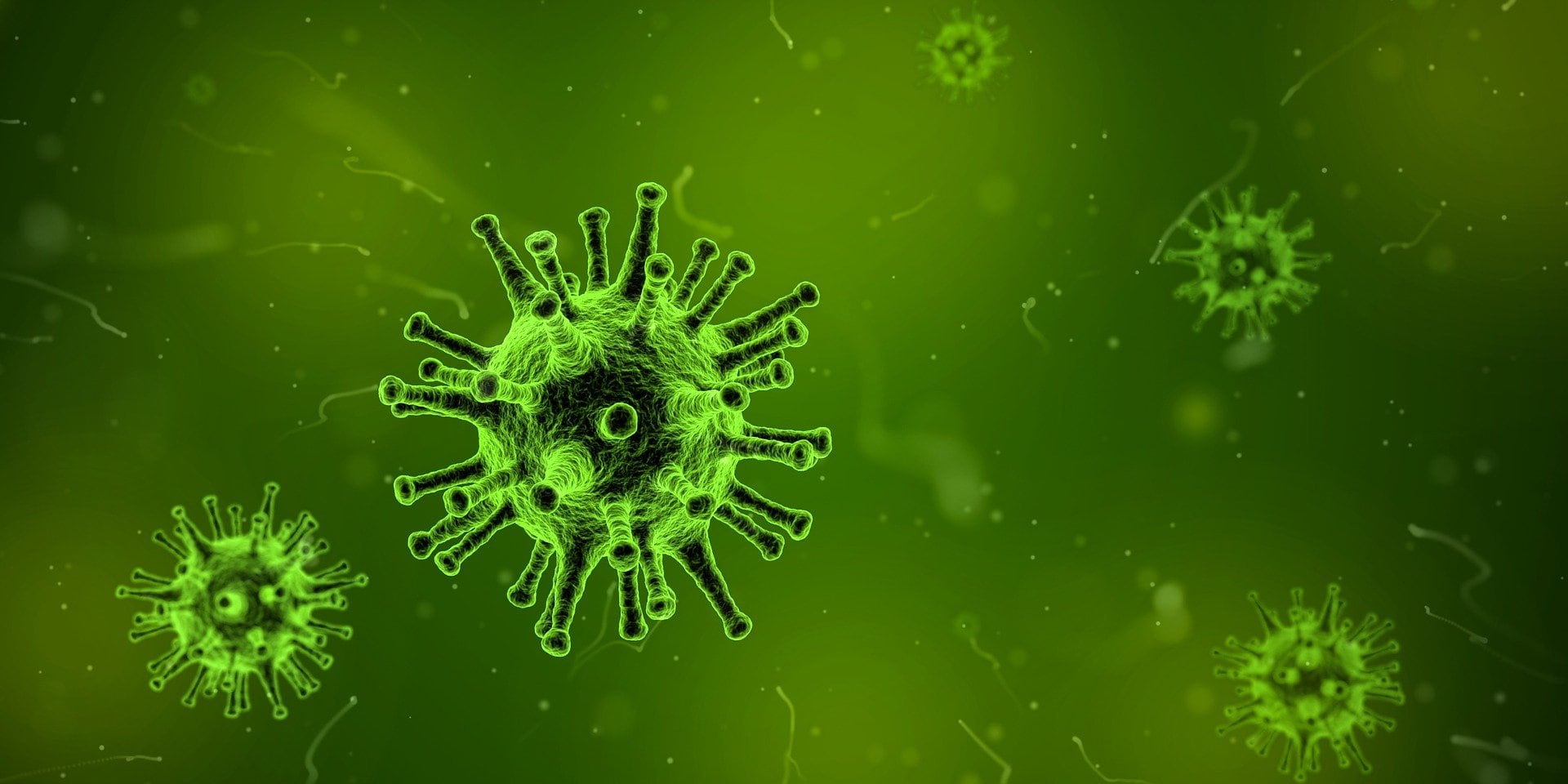 Adenovirus