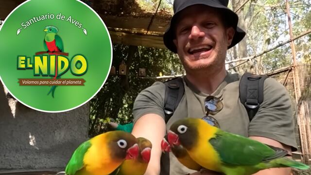 Facundo visita El Nido, porque quiere salvarlo.