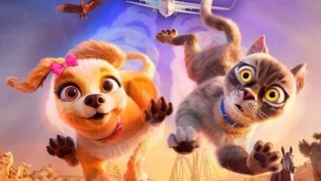 Mascotas en apuros 2024