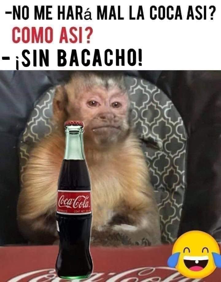 Meme de George, el mono