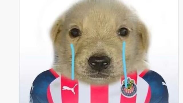 Meme a Club Chivas