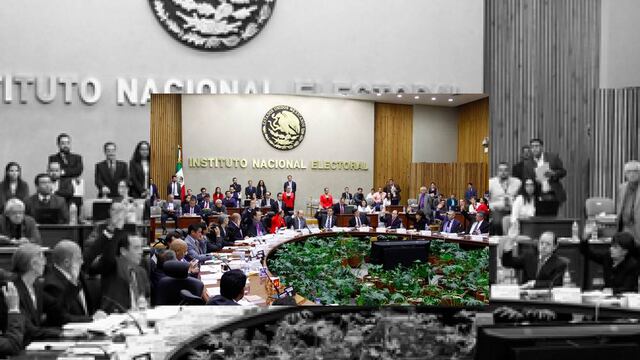 INE. Escándalos por nepotismo.