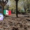 Otoño en México: se esperan 27 frentes fríos durante la temporada