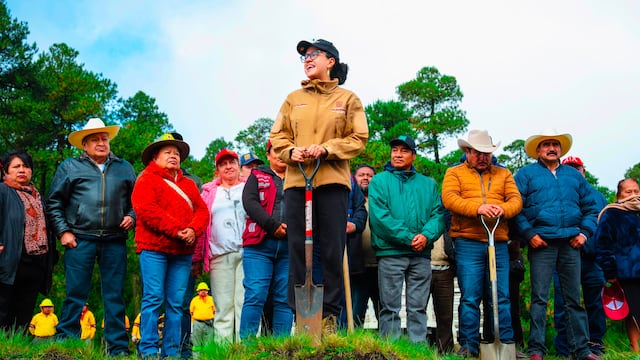 Tlalpan se suma a jornada de reforestación con 20 mil ejemplares