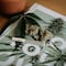 ¿Qué candidatos quieren legalizar la marihuana en México? Esto han dicho Claudia Sheinbaum, Xóchitl Gálvez y Jorge Álvarez Máynez