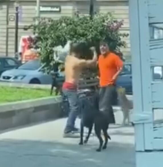 Perros se le fueron encima a hombre que retó a pelear a su dueño