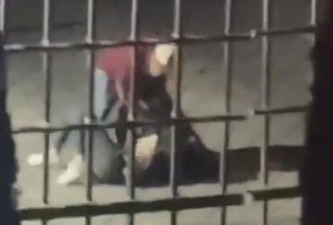 VIDEO: Mujer sufre golpiza en Lomas de Angelópolis, Puebla