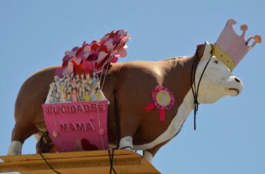 Vaquita de Aramburo