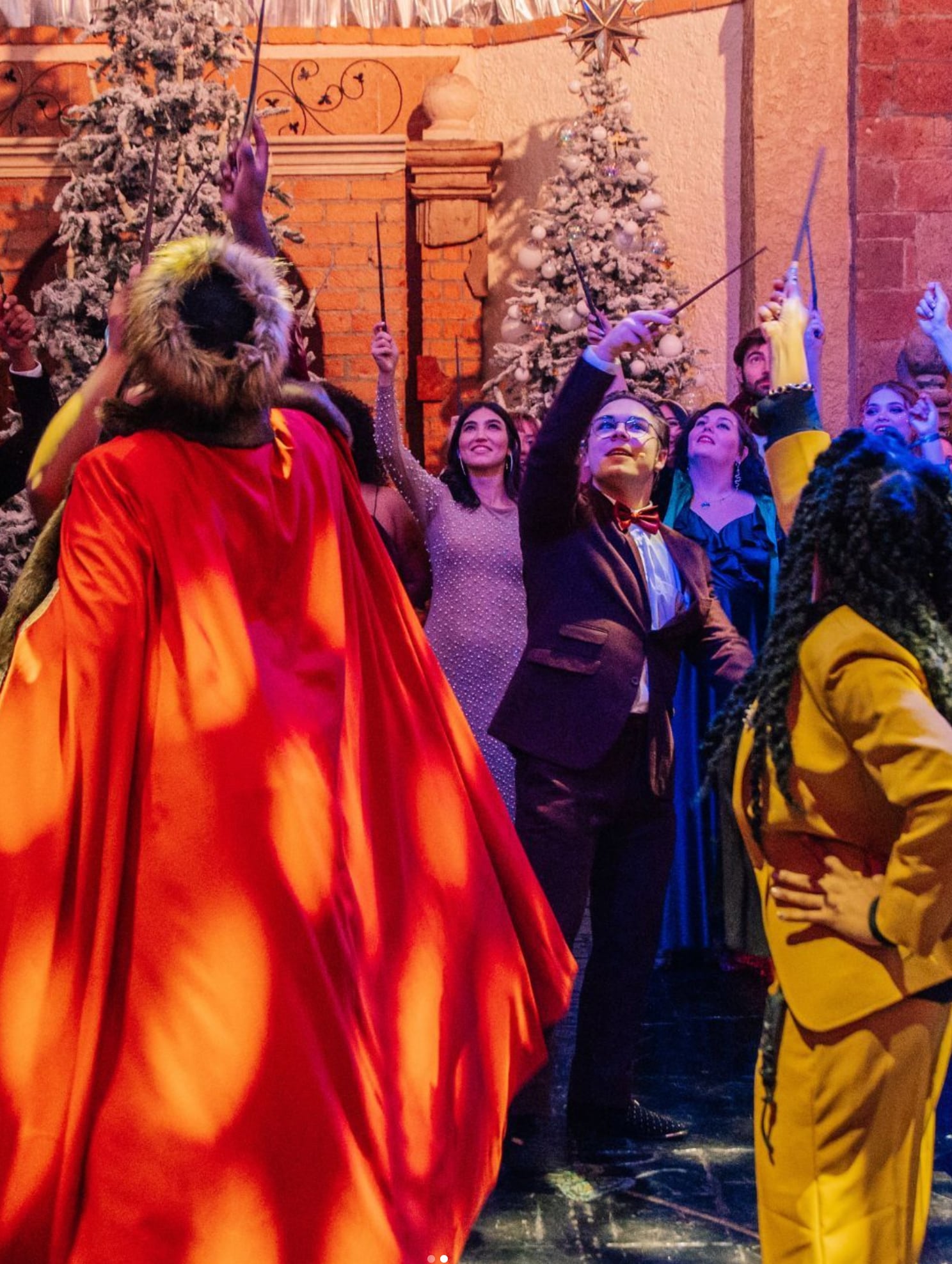 Baile de Invierno de Harry Potter