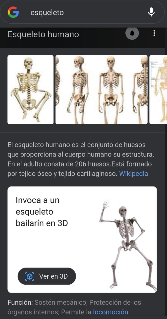 Esqueleto