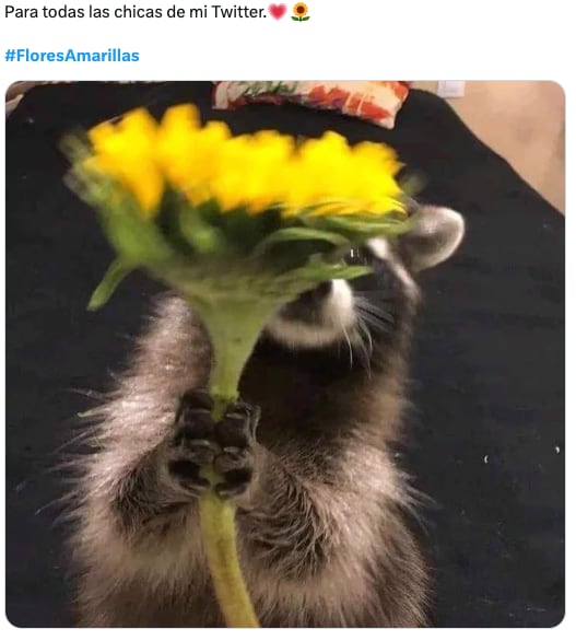 Los memes de las flores amarillas llegan este 21 de septiembre