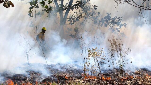 Brigadistas combaten incendios forestales.