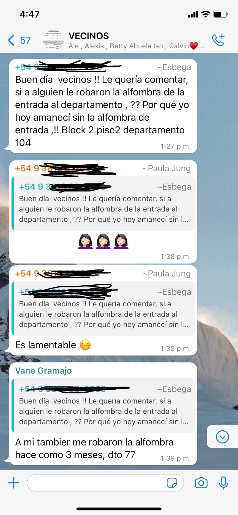 Chat de WhatsApp mostrando que el perro Tyson robaba alfombras