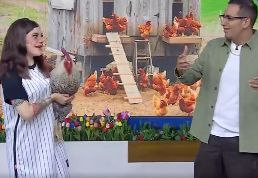 Capi Pérez en Venga la Alegría