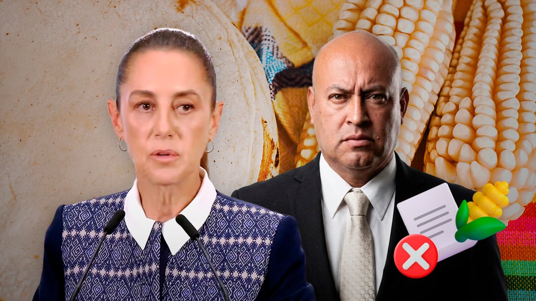 Consejo de la Tortilla contradice a Sheinbaum: menos del 0.5% firmó acuerdo del maíz