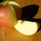 ¿Cómo evitar que se oxide la manzana? 6 tips para conservarla