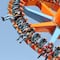 “Six Flags no aprende”: ex titular de Copred recuerda cuando sancionó al parque por discriminar a personas con tatuajes
