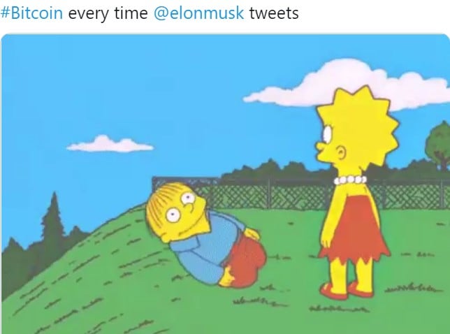 Memes contra Elon Musk