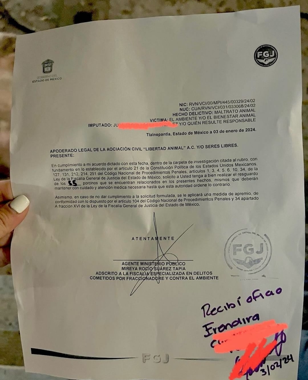 "Seres libres" obtiene resguardo oficial de los cerditos