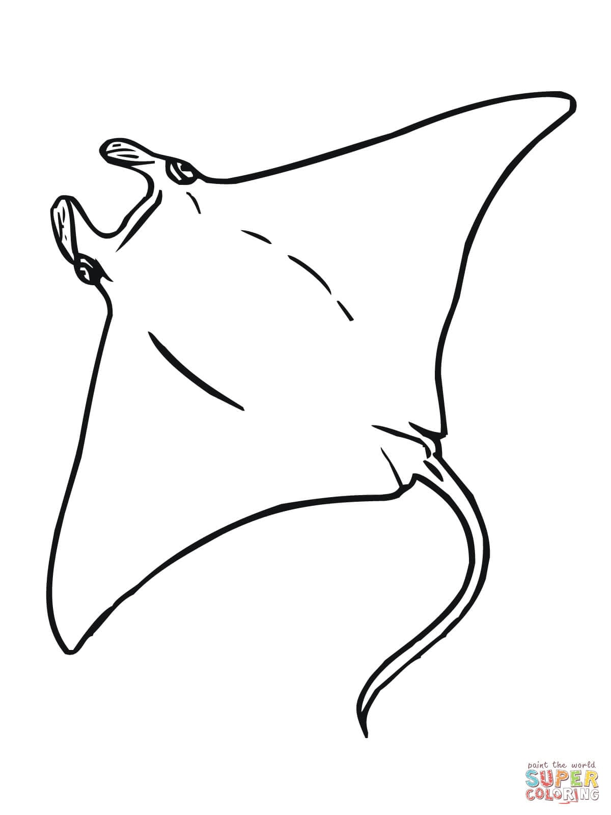 Día de la Mantarraya